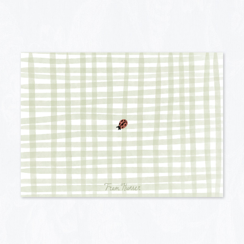 Ladybug Stationery Set